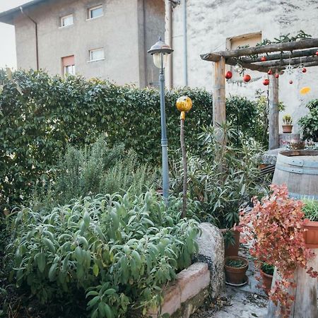 B&B Pedelmont Mezzocorona Dış mekan fotoğraf