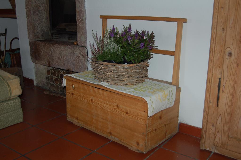 B&B Pedelmont Mezzocorona Dış mekan fotoğraf