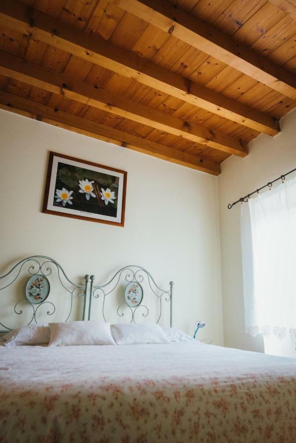 B&B Pedelmont Mezzocorona Dış mekan fotoğraf