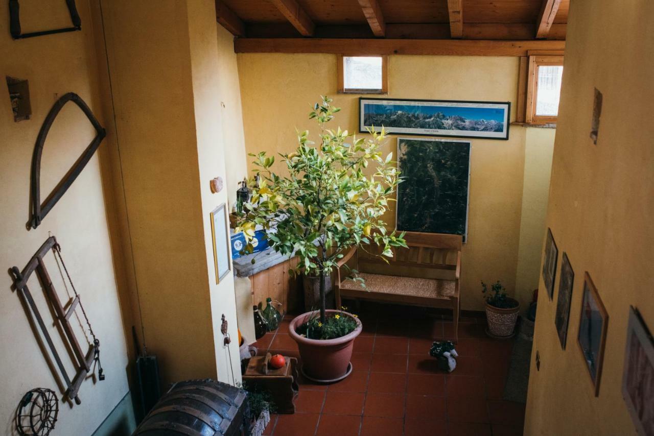 B&B Pedelmont Mezzocorona Dış mekan fotoğraf