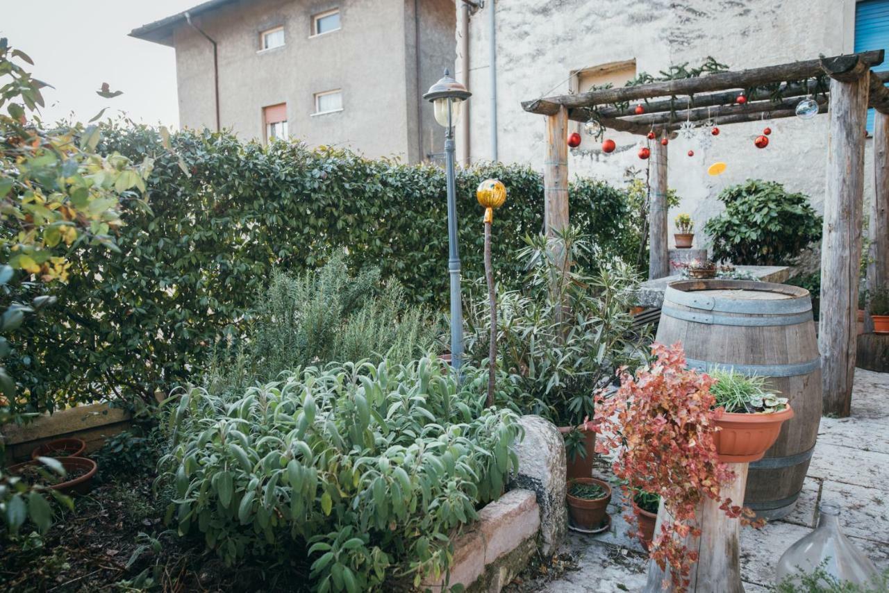 B&B Pedelmont Mezzocorona Dış mekan fotoğraf